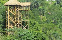 Zipline Adventure from La Romana