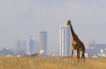 Day Tour Nairobi National Park
