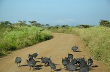 Day Tour Nairobi National Park