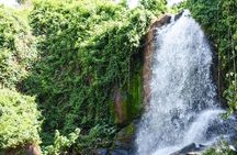 Full Paradise Lost Recreational Day