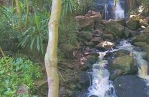 Full Paradise Lost Recreational Day