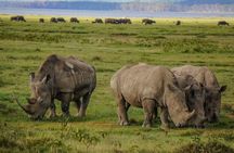 Lake Nakuru National Park Full Day