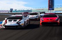 Exotic Car Driving Experience