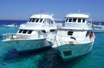Experience Snorkeling Tour at Utopia Island