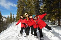 Yukon Snowshoeing Adventure | half day