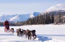 Active Winter Adventure in Yukon | 5 days