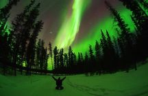 Active Winter Adventure in Yukon | 5 days
