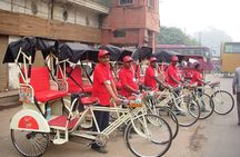 Old Delhi Group Tour by Rickshaws