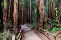 San Francisco: Coastal Redwoods Tour and Hop-on Hop-off Bus Tour