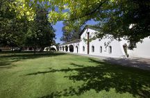 Undurraga Founder's Private Tour