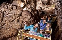 Postojna Cave and Castle Small-Group Day trip from Ljubljana