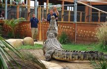 Crocodiles Park Ticket With Transfers