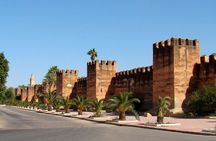 From Agadir Hotel or Port : Taroudant and Tiout Oasis