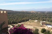 From Agadir Hotel or Port : Taroudant and Tiout Oasis