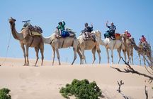 Small Sahara Desert From Agadir With Lunch 4x4