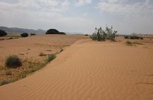 Small Sahara Desert From Agadir With Lunch 4x4