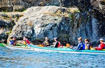 Victoria Harbour Kayak Tour