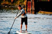 Victoria Harbour Stand-Up Paddleboard Tour