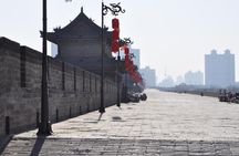 Mini Group: Daily VIP Xian Terracotta Warriors and City Discovery Tour