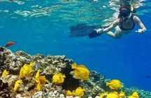 Kealakekua Bay Captain Cook Snorkel Adventure