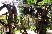 Private Tour: Half Day Tanah Lot Sunset Tours