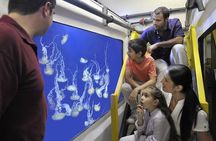 Fish Tales Lost Chambers Tour