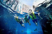 Dubai Lost Chambers Ultimate Snorkel Experience