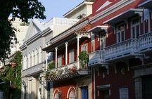 Cartagena Deluxe for Cruises - Private City Tour 