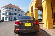 Cartagena Deluxe for Cruises - Private City Tour 