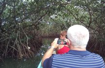 Shore Excursion Mangroves tour