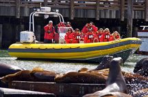 San Francisco Bay Adventure Sightseeing Cruise