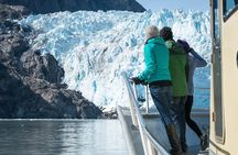 Kenai Fjords Cruise