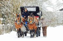 Horse Carriage Tour of Garmisch-Partenkirchen 
