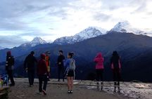 Ghorepani Poon hill Trek - 9 days