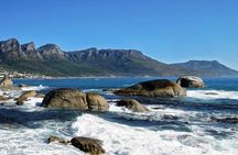 Best of Cape Town Full Day Tour 