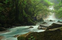 Wildlife Nature Hike, Blue Waterfall, Lunch & Sloth Trail - Tenorio Volcano Park