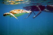 St Thomas Sea Turtle Snorkel Kayak Adventure Tour