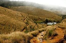 Horton Plains-World's End Tour From Nuwaraeliya