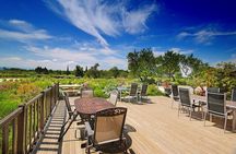 Winery Visit with Food and Wine in Carcassonne