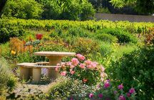 Winery Tour & Wine Tasting - Deli Plate & 3 Wines