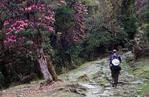 Short Trek in Nepal (Langtang Valley Trek 10 Days)