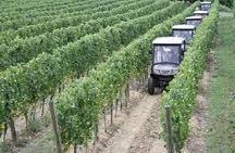 Vineyards tour with Electric Jeep with wine tasting