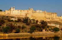 Private Luxury Golden Triangle with Ranthambore