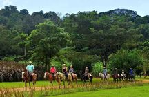 Ocean View Zip Line + Horseback Riding & Natural Pool Combo