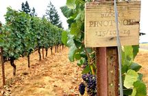 Oregon Wine Tour-Full Day Tour with Lunch Stop