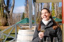 The Wine Trail Tour