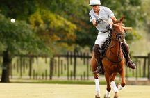 Polo Lessons from Buenos Aires by Polo Elite