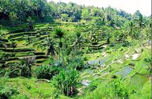 Bali Full Day Tour