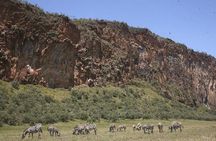 one day hells gate National park tour