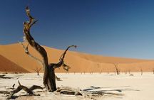 7 Days-Desert adventure, Swakopmund & Etosha Lodging Tour